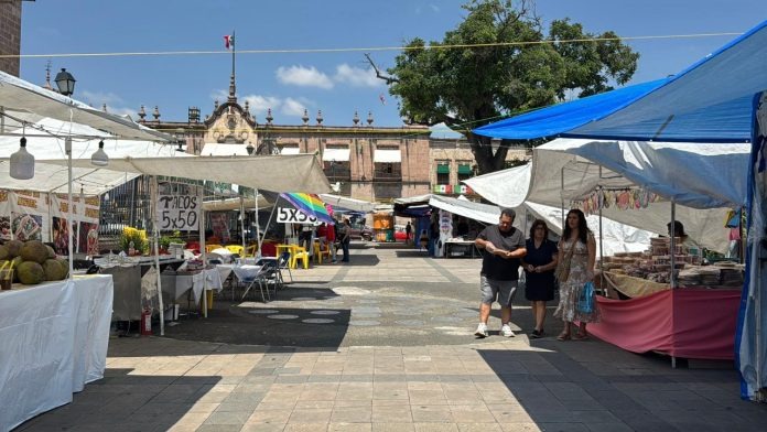 WhatsApp Image 2025-10-30 at 7.11.56 PM