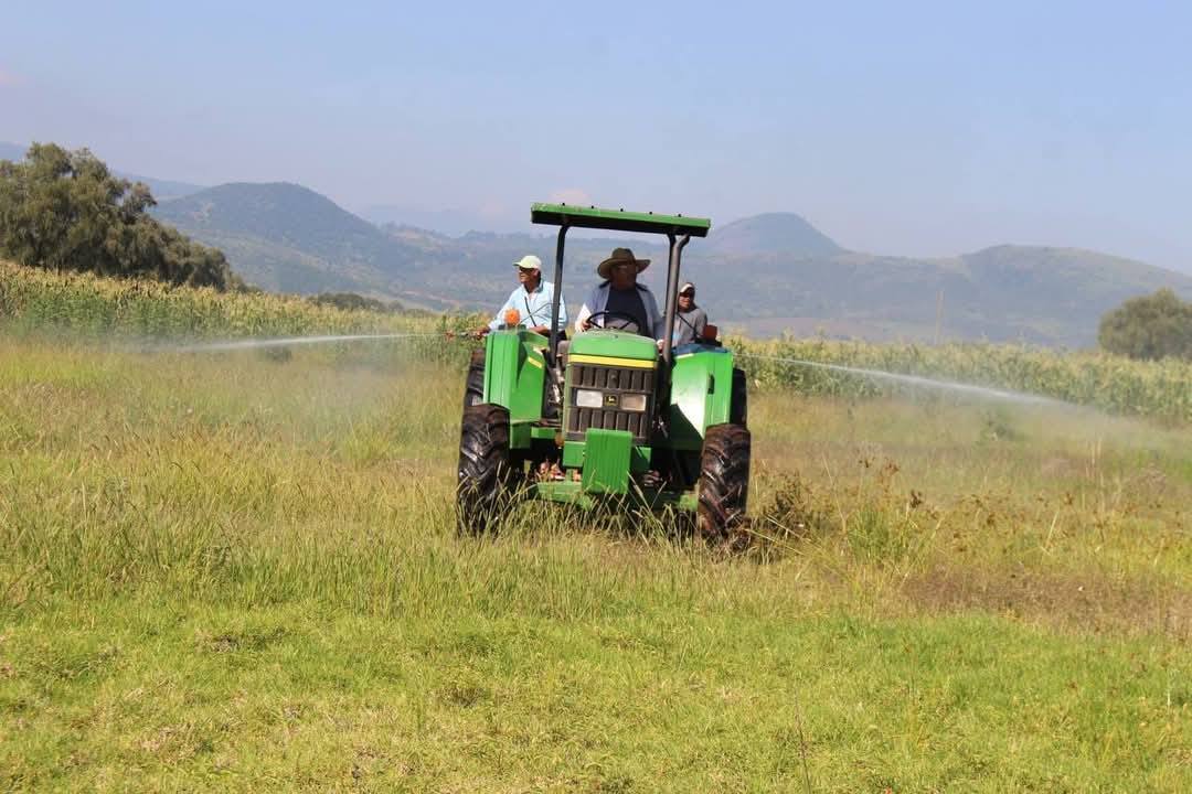 campo