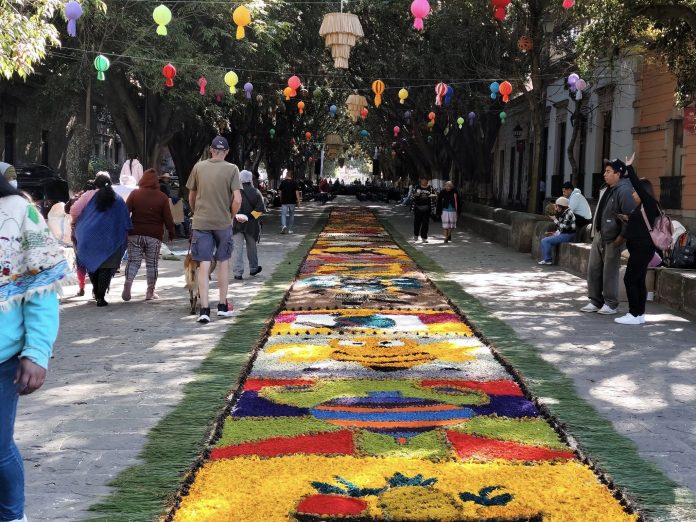 Más  de tres millones de flores naturales visten la Calzada Fray Antonio de San Miguel