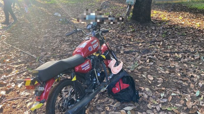 Adulto mayor es localizado sin vida en una huerta de aguacate, en Uruapan