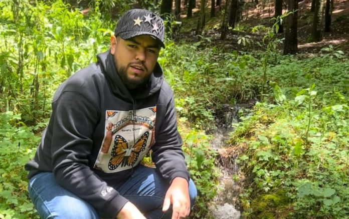 Primeras Mariposas Monarca llegan a los bosques del Oriente de Michoacán