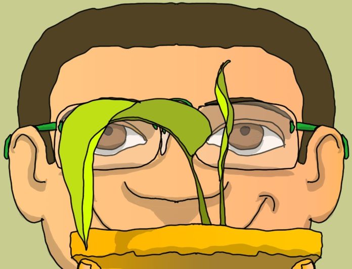 URBANOPOLIS. Ocupamos más áreas verdes