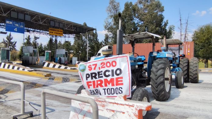 WhatsApp Image 2025-11-27 at 3.25.38 PM