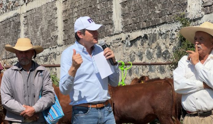 Gobierno federal prohíbe el cultivo de maíz transgénico en México, pero permite su importación: Alfonso Martínez