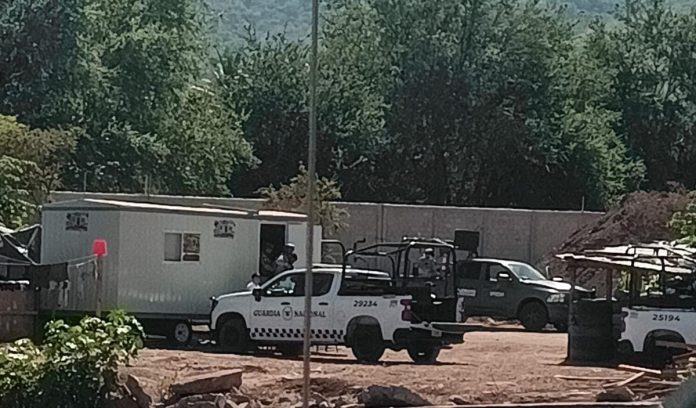 41502c0c-32d2-4e1e-94b3-60c557cb16e4