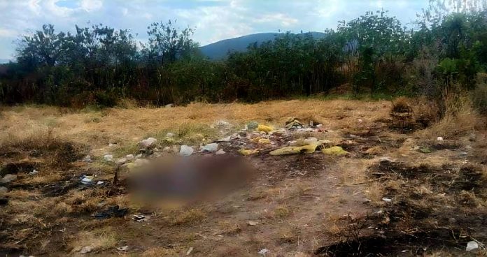 Localizan restos óseos en predio de Zamora Localizan restos óseos en predio de Zamora