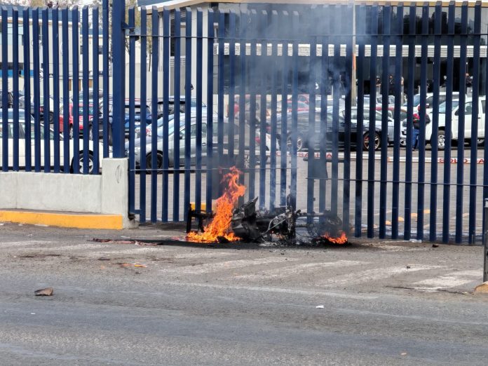 WhatsApp Image 2025-12-08 at 2.25.10 PM (2)