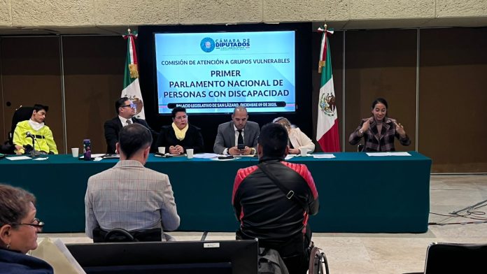 Michoacana Daniela Ayala representa al estado en el Primer Parlamento Nacional de Personas con Discapacidad