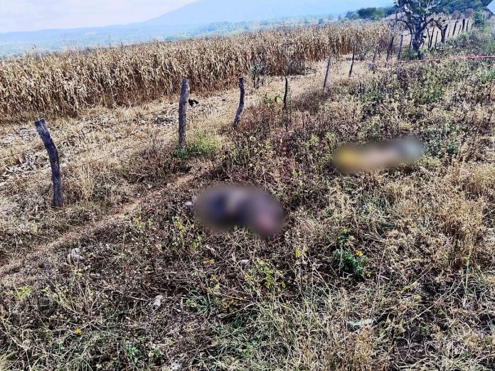 Localizan dos hombres asesinados en Paso del Molino Localizan dos hombres asesinados en Paso del Molino