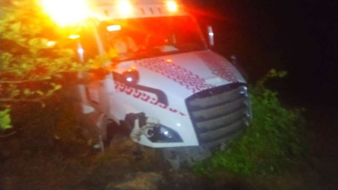 Tractocamión choca contra una vaca en la Autopista Siglo XXI; conductor resulta ileso Tractocamión choca contra una vaca en la Autopista Siglo XXI; conductor resulta ileso