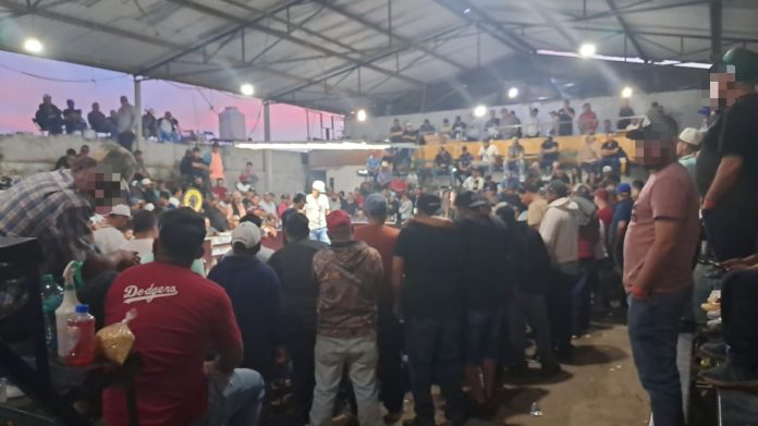 SSP y Defensa desactivan palenque clandestino en Zamora SSP y Defensa desactivan palenque clandestino en Zamora