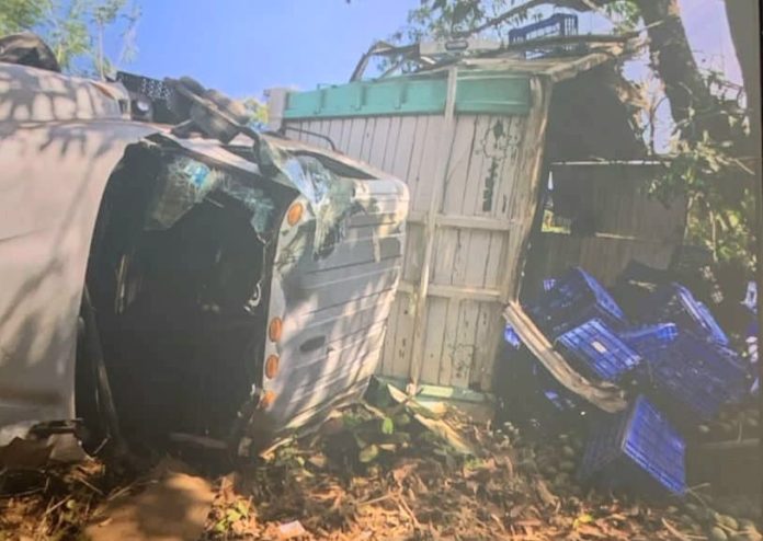 Chofer de camión aguacatero muere tras volcar en la "libre" Uruapan-Gabriel Zamora