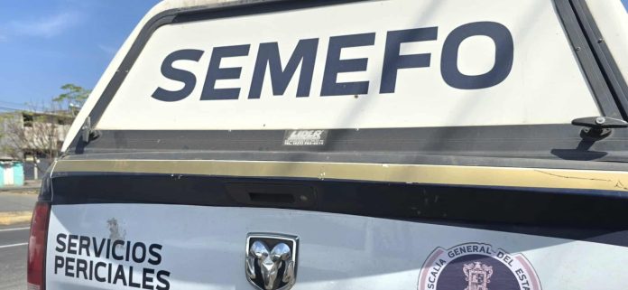 Mujer fallece tras caer de un caballo en el municipio de Cuitzeo