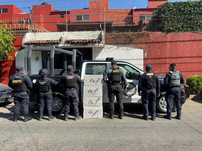 Asegurados 25.6 kilos de marihuana en la Central de Autobuses de Uruapan: SSP Asegurados 25.6 kilos de marihuana en la Central de Autobuses de Uruapan: SSP
