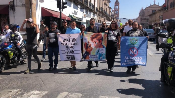 Médicos veterinarios se manifiestan en Morelia, exigen respeto y protección