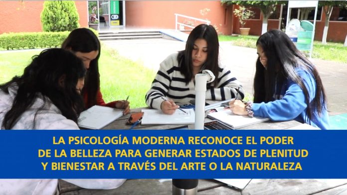 Reconocer la belleza es clave para el bienestar y el desarrollo social, explica Filósofo 