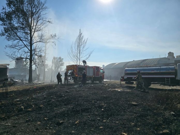 54c82389-f31b-4ea1-a24f-25495ae5b866