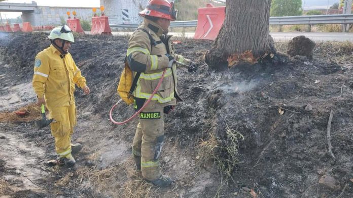 Se registran varios incendios de pastizal en distintos puntos de Morelia