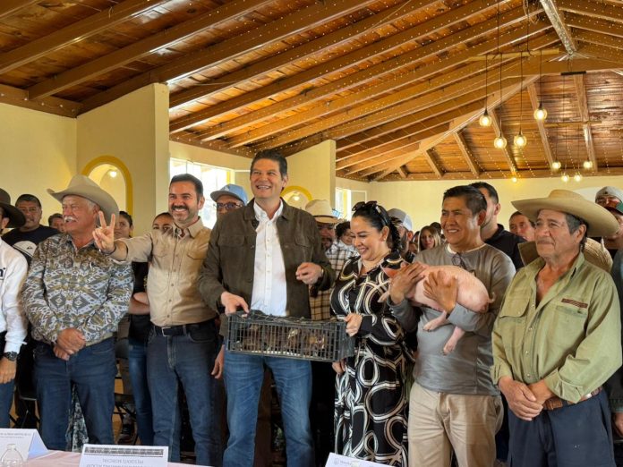 Ayuntamiento entrega pollitas ponedoras y lechones para fortalecer el campo moreliano