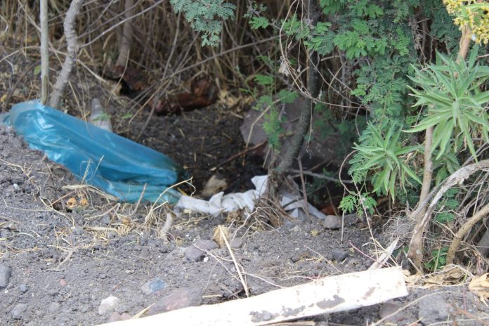 Hallan restos humanos desmembrados en camino de Zamora