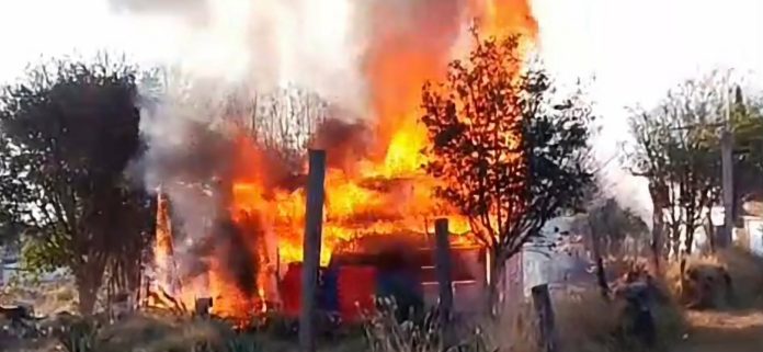 WhatsApp Image 2026-03-25 at 12.08.57 PM (1)