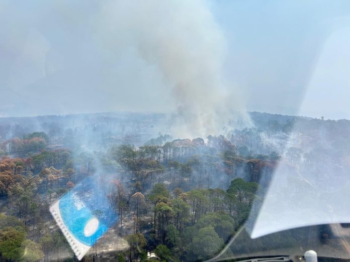 Controlado el 90 % del incendio forestal en el Área Natural Protegida de Tzitzio