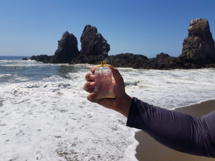 Vacaciones seguras: Playas de Michoacán listas para Semana Santa Vacaciones seguras: Playas de Michoacán listas para Semana Santa