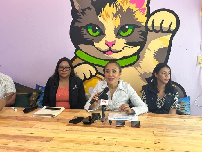 Morelia concentra focos rojos por maltrato y abandono animal: IMPA Morelia concentra focos rojos por maltrato y abandono animal: IMPA