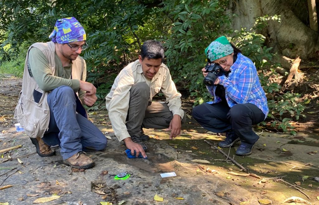 Confirma INAH descubrimiento de 50 huellas de dinosaurios en Apatzingán